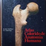 Atlas colorido de Anatomia Humana (Capa dura)