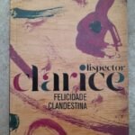 Felicidade Clandestina