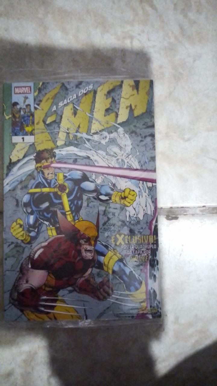 ha11 A Saga dos X-Men 1 (segunda temporada) - Imagem 1