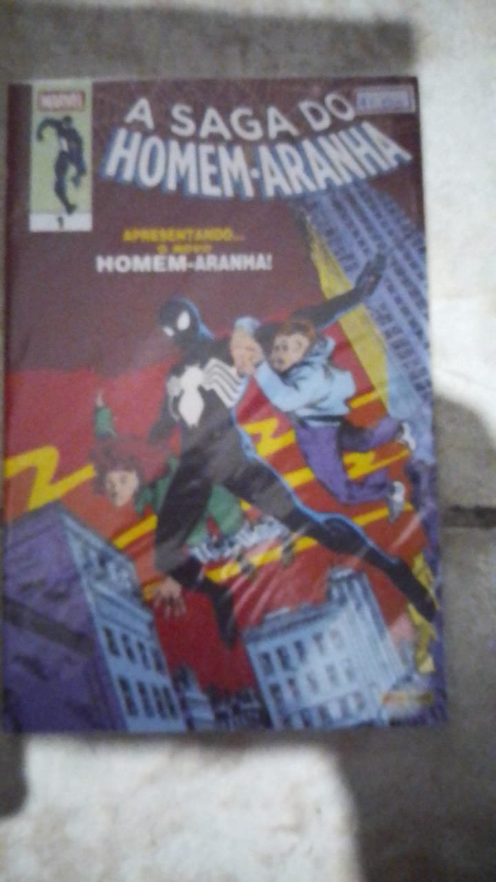ha2 A Saga do Homem-Aranha vol. 1 (segunda temporada) - Imagem 1