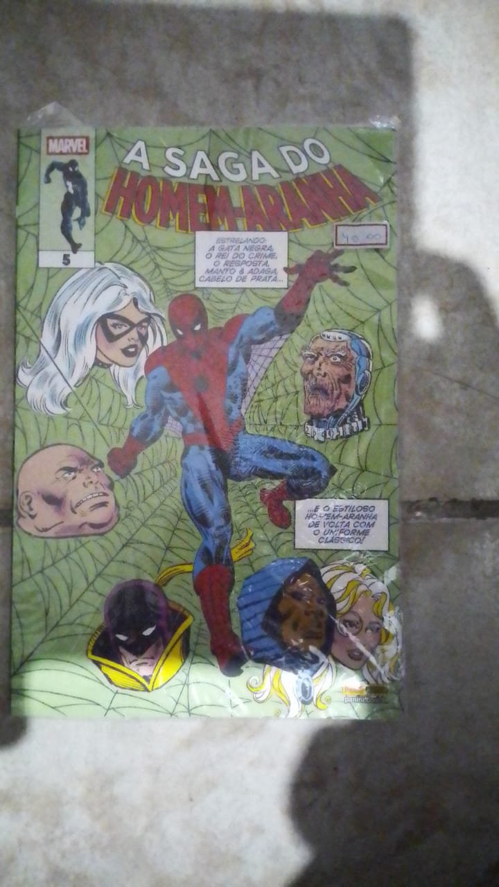 ha3 A Saga do Homem-Aranha vol. 5 (segunda temporada) - Imagem 1