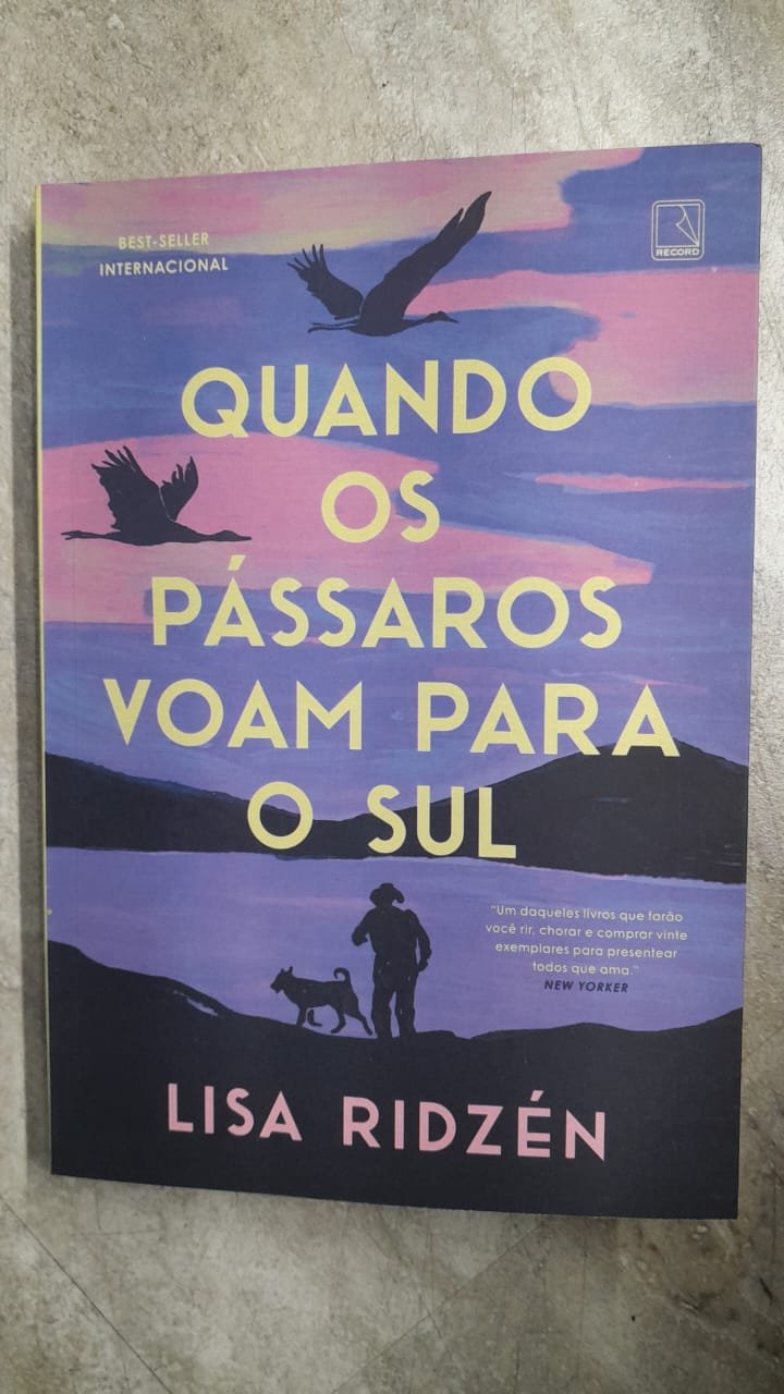 33 Quando os Pássaros Voam Para o Sul - Lisa Ridzén - Imagem 1
