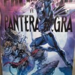 Predador versus Pantera Negra