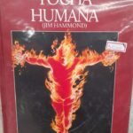 Os Heróis Mais Poderosos da Marvel Tocha Humana (Jim Hammond)