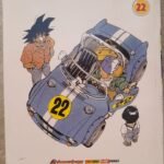 Dragon Ball 22