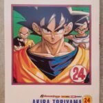 Dragon Ball 24