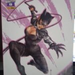 Mulher-Gato - Vol.6: Quem é Selina Kyle? (2ª Série)