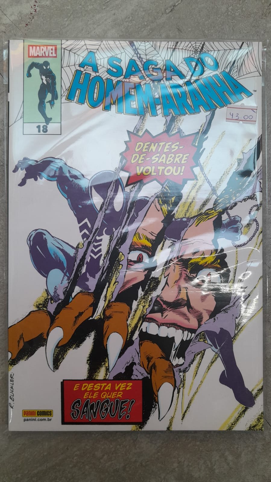24 A Saga do Homem-Aranha vol. 18 - Imagem 1