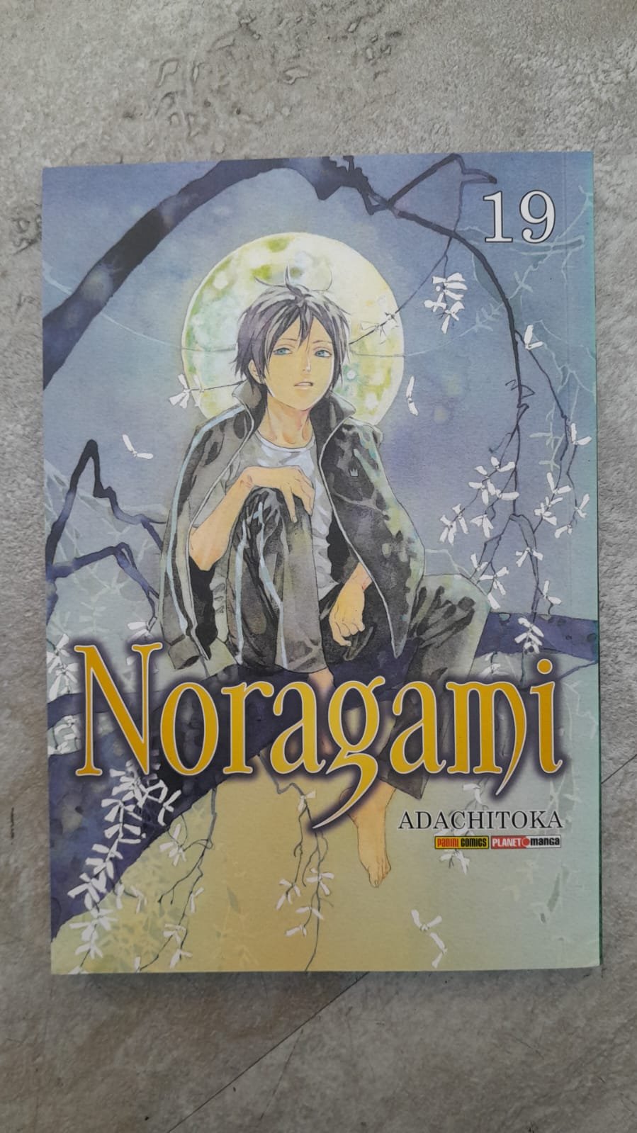 87 Noragami 19 - Adachitoka - Imagem 1