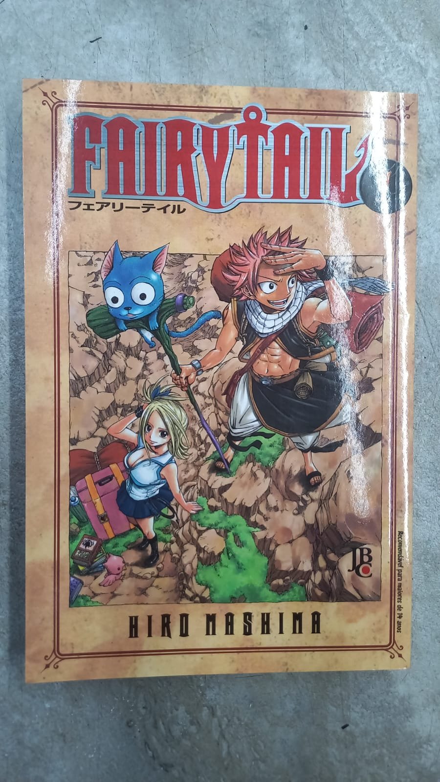 12 Fairy Tail vol.1 - Imagem 1