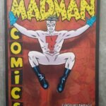Madman Comics vol. 1: Curso-Relâmpago Para Quem Quiser se Divertir