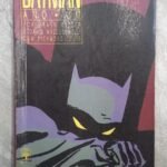 Batman Ano Um