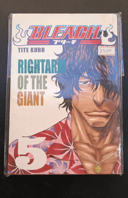 Bleach - Volume 5 - Image 1