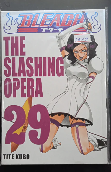 Bleach - Volume 29