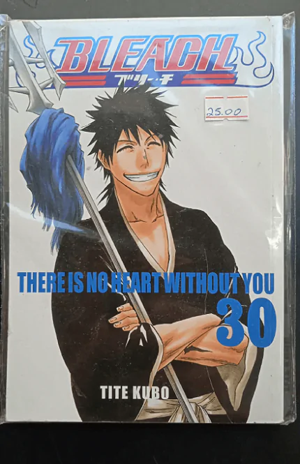 Bleach - Volume 30
